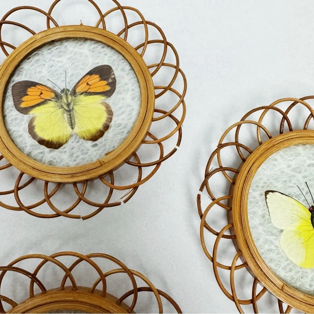 Vintage Real Butterfly Bamboo Coasters